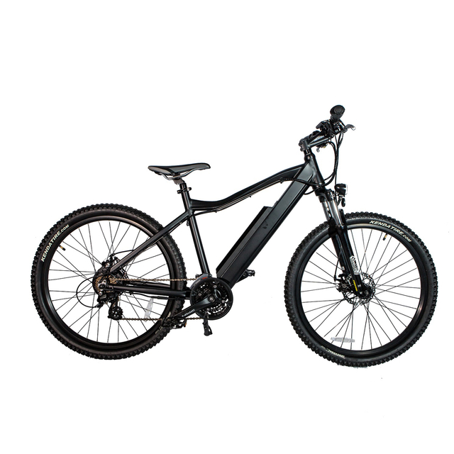 electric MTB