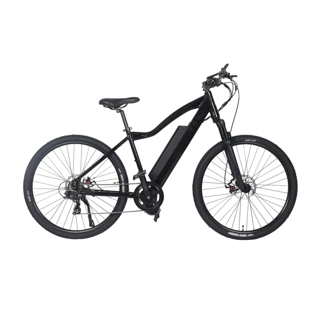 electric mountain bike