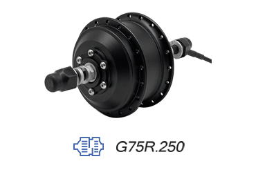 G75R.250 motor