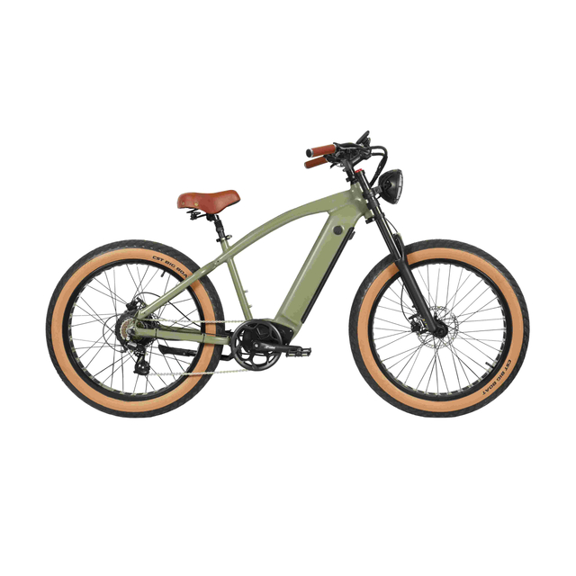 Bicicletă electrică pentru cauciucuri grase F10