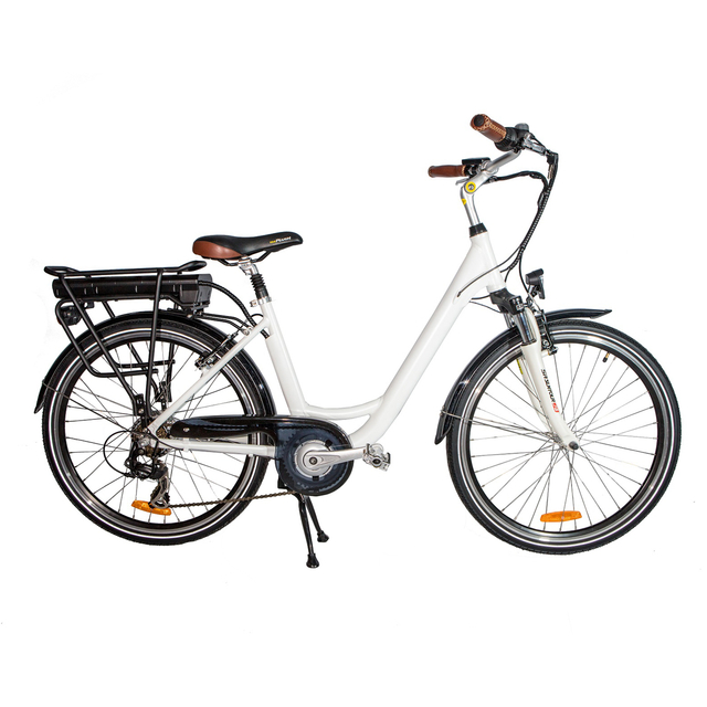 36V 250W 26 inch rear wheel electric city bike