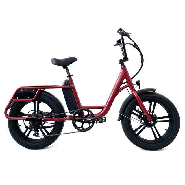 cargo electric bicycle