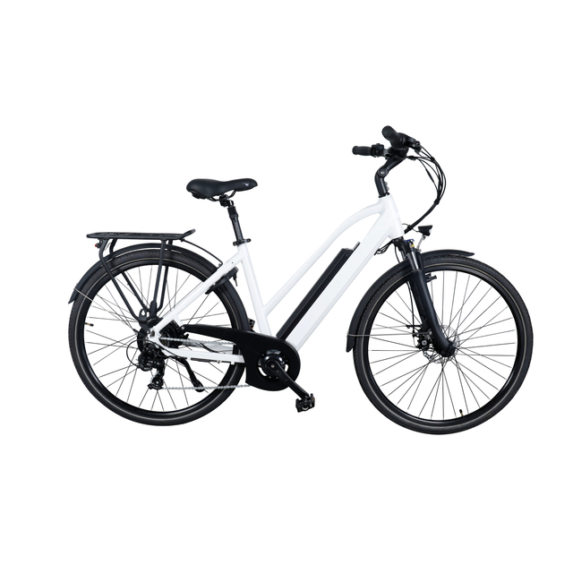 city electric bicycle