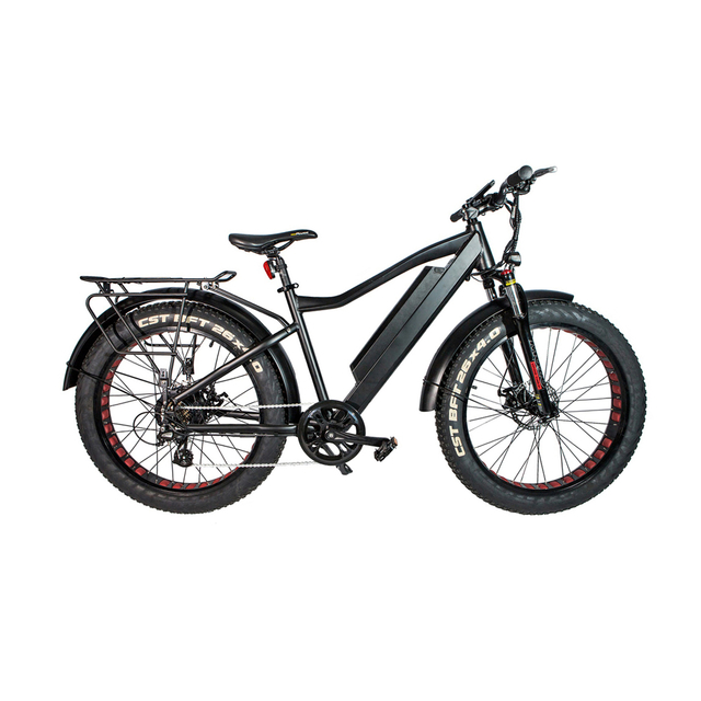 fat tire electric bicycle