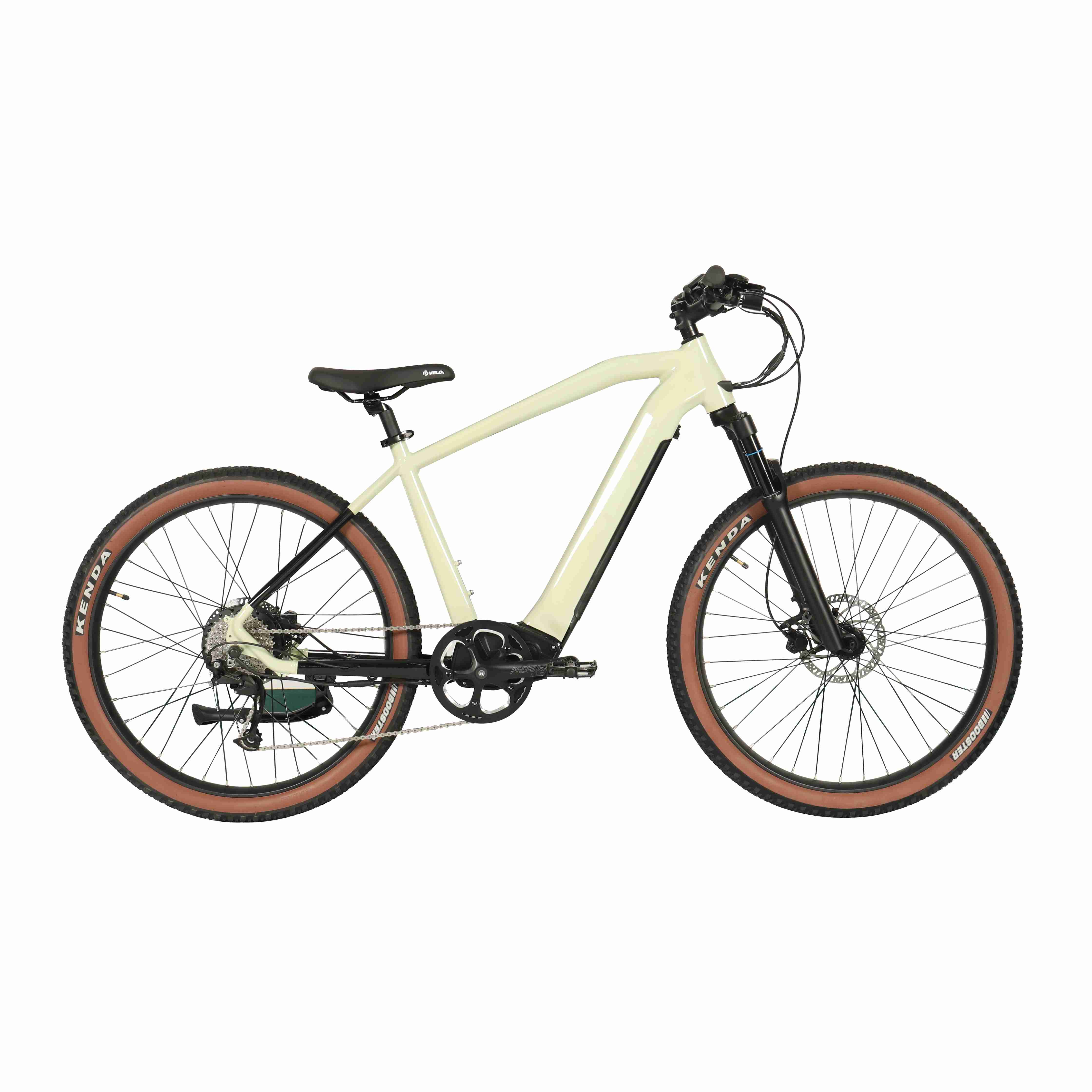 mountain electric bike